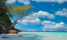 正月初九是什么日子 正月初九的注意事项