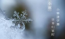 杭州小寒吃什么 小寒吃什么蔬菜