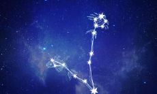 双鱼座2020年11月事业运势如何?双鱼座工作能力强吗?