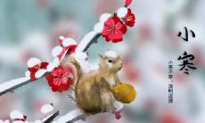 上海小寒吃什么 小寒节气吃什么传统食物
