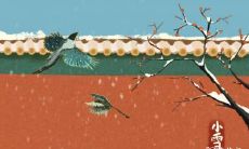 香港小雪吃什么 这三样一定要吃