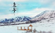 香港立冬吃什么好 香港立冬特色食物