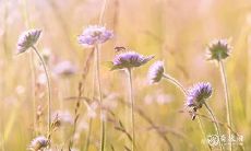 大年初一能洗头吗 大年初一的禁忌