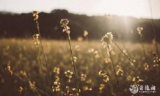 大年初二禁忌 大年初二有哪些习俗