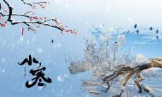 青岛小寒吃什么 小寒要吃的食物