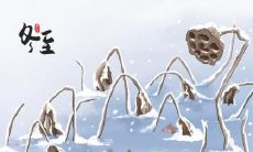 哈尔滨冬至吃什么 吃这三样