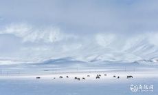 福建小雪吃什么 小雪传统饮食
