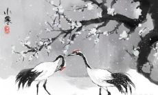 广东小寒吃什么食物 小寒忌讳什么