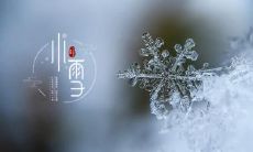 山东小雪吃什么食物 小雪节气特点