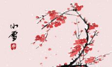 温州小雪吃什么 小雪养生食物