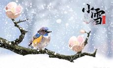 山西小雪吃什么 山西小雪传统食物