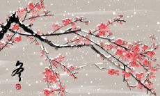 芜湖冬至吃鸡 芜湖冬至美食