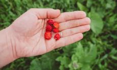 镇江人立冬吃什么 立冬的饮食忌讳
