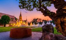 烟台霜降吃什么 北方的霜降传统饮食