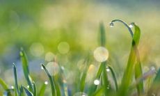 陕西霜降吃什么 霜降节气的养生饮食