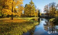 南京立秋吃什么传统小吃 立秋进补要讲究什么