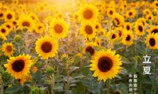 西安处暑吃什么 处暑节气的来源