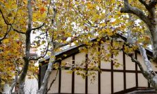 北京立秋吃食 北京人立秋的饮食习俗