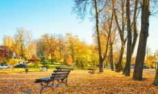 甘肃立秋吃什么 甘肃立秋的传统饮食习俗