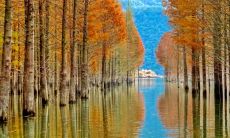 芜湖立秋吃什么 安徽地区的特色小吃