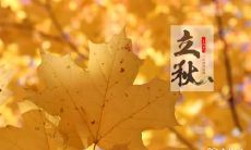 陕西的风俗立秋是什么呢 陕西立秋适合吃什么