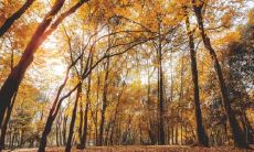 哈尔滨立秋吃什么 哈尔滨的饮食习俗