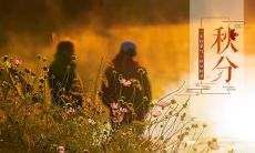 安徽秋分要吃什么东西 秋分最适合吃什么