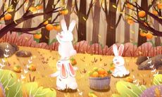 扬州立秋吃西瓜 江苏立秋吃什么