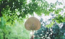 杭州处暑吃什么食物 处暑节气的传统饮食