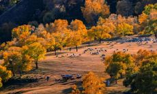 金华立秋饮食风俗 金华的传统饮食习惯