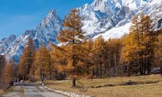 贵州立秋吃什么　贵州立秋的风俗活动