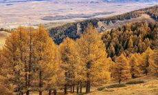 萍乡立秋那天吃什么 江西立秋饮食习俗