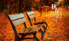 烟台秋分吃什么传统食物 中国秋分怎么吃