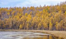 无锡立秋吃什么菜 无锡立秋的饮食习俗解析