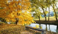 南京立秋吃什么菜 江苏立秋的饮食习俗