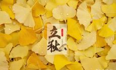 苏州立秋吃什么 苏州立秋必吃的食物