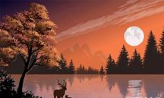 凌晨一点能不能拖地 什么时间拖地最好