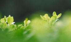 十一月十五有什么禁忌寓意和说法 这天出生命好吗