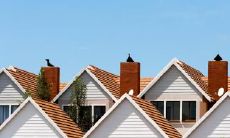 临沂二月二龙抬头可以回娘家吗 有啥传说故事