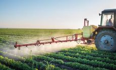 济南二月二有讲究吗 吃什么食物